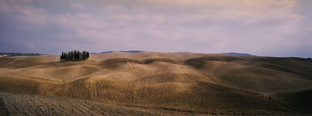 Crete Senesi 6