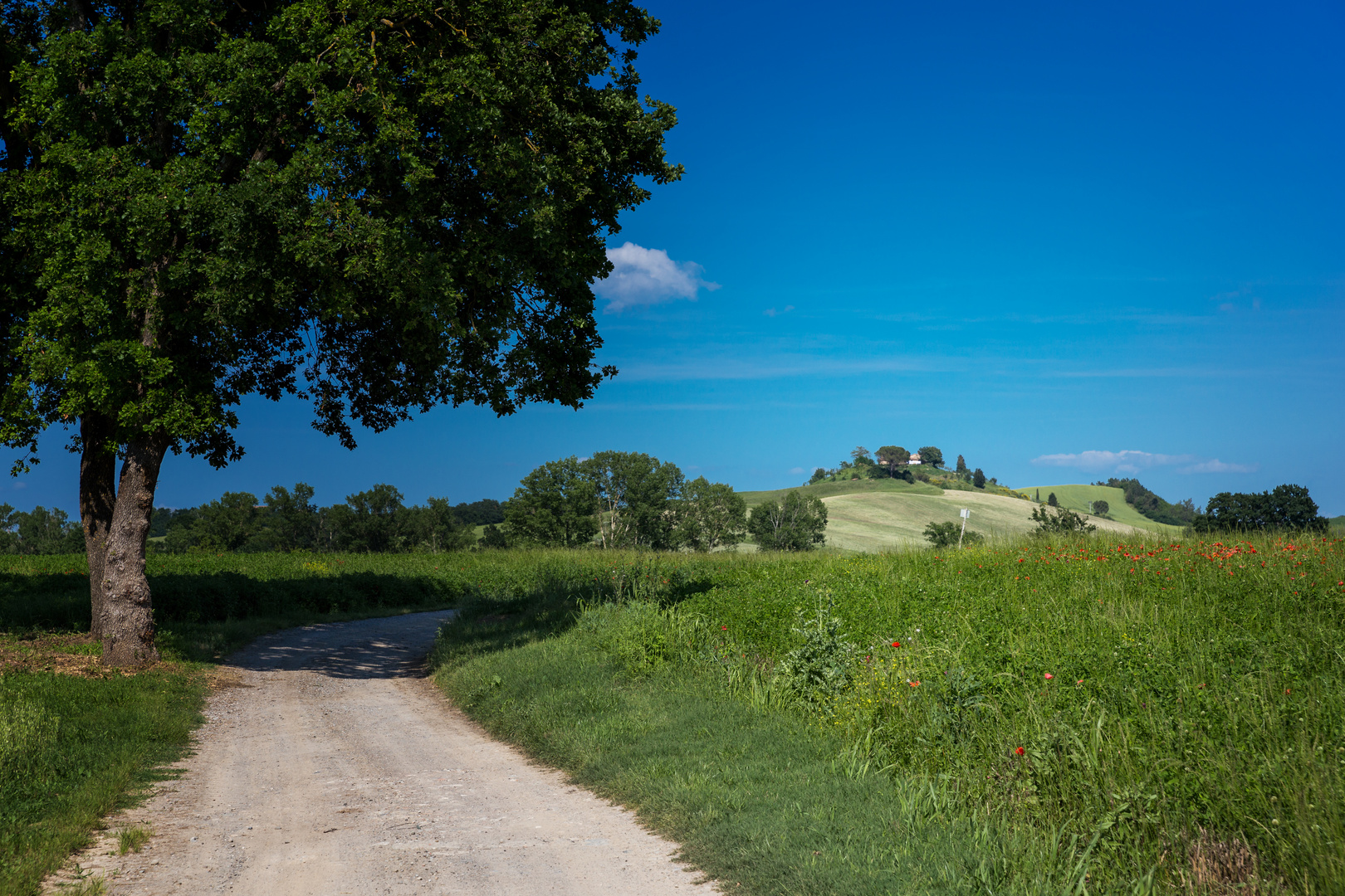 Crete Senesi 