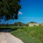 Crete Senesi 