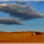 Crete Senesi