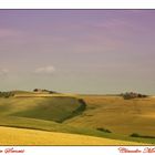 Crete Senesi