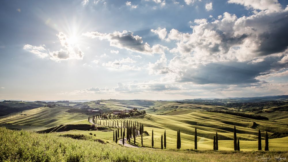 Crete Senesi