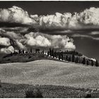 crete senesi