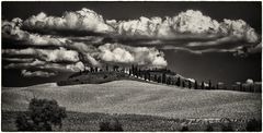 crete senesi