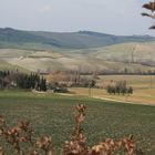 CRETE SENESI