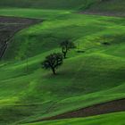 Crete senesi