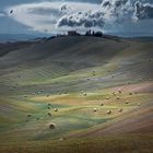 Crete Senesi