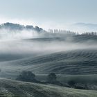 crete senesi