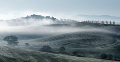 crete senesi