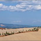 Crete senesi