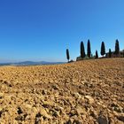 Crete Senesi