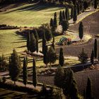 Crete Senesi