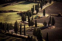 Crete Senesi