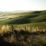 Crete Senesi