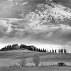 CRETE SENESI - ALLEEN ZWISCHEN HIMMEL UND ERDE