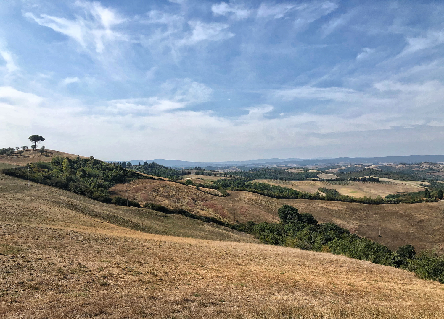 Crete Senesi Aussicht