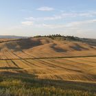 Crete Senesi