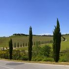 Crete senesi