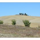 Crete Senesi