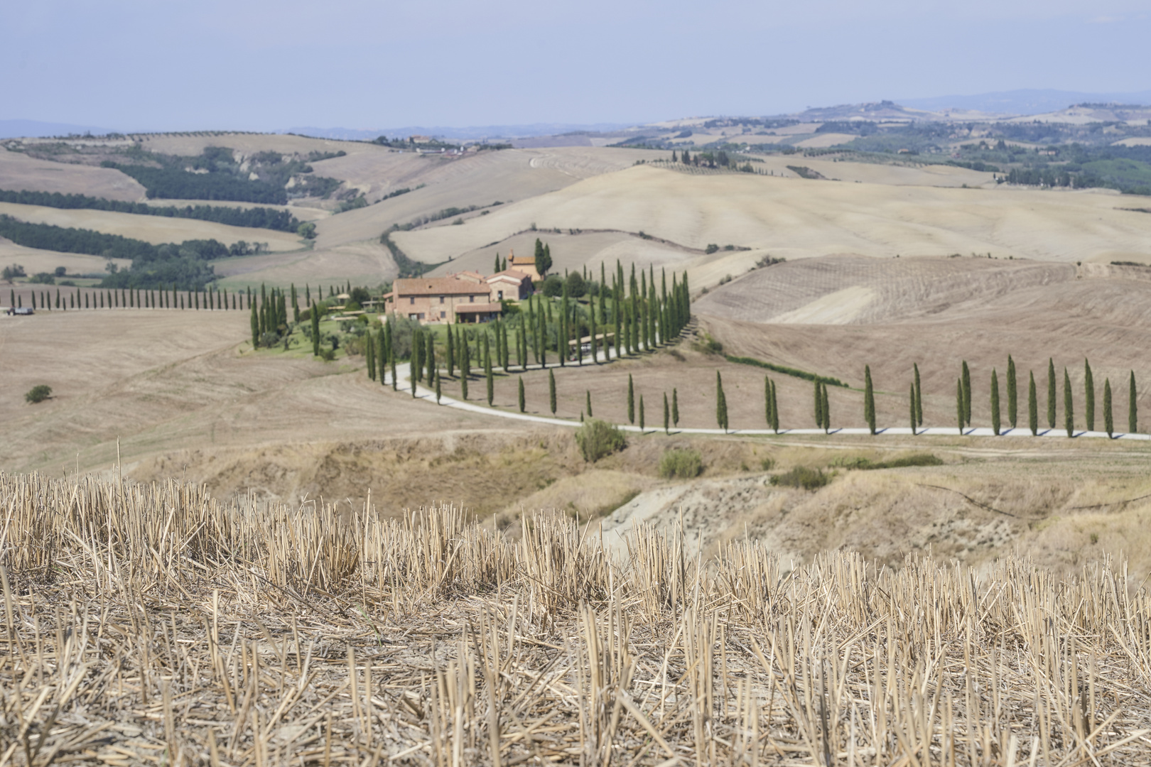 Crete Senesi Baccoleno