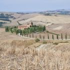 Crete Senesi Baccoleno