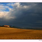 Crete senesi