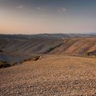 Crete Senesi