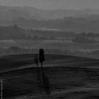 Crete Senesi