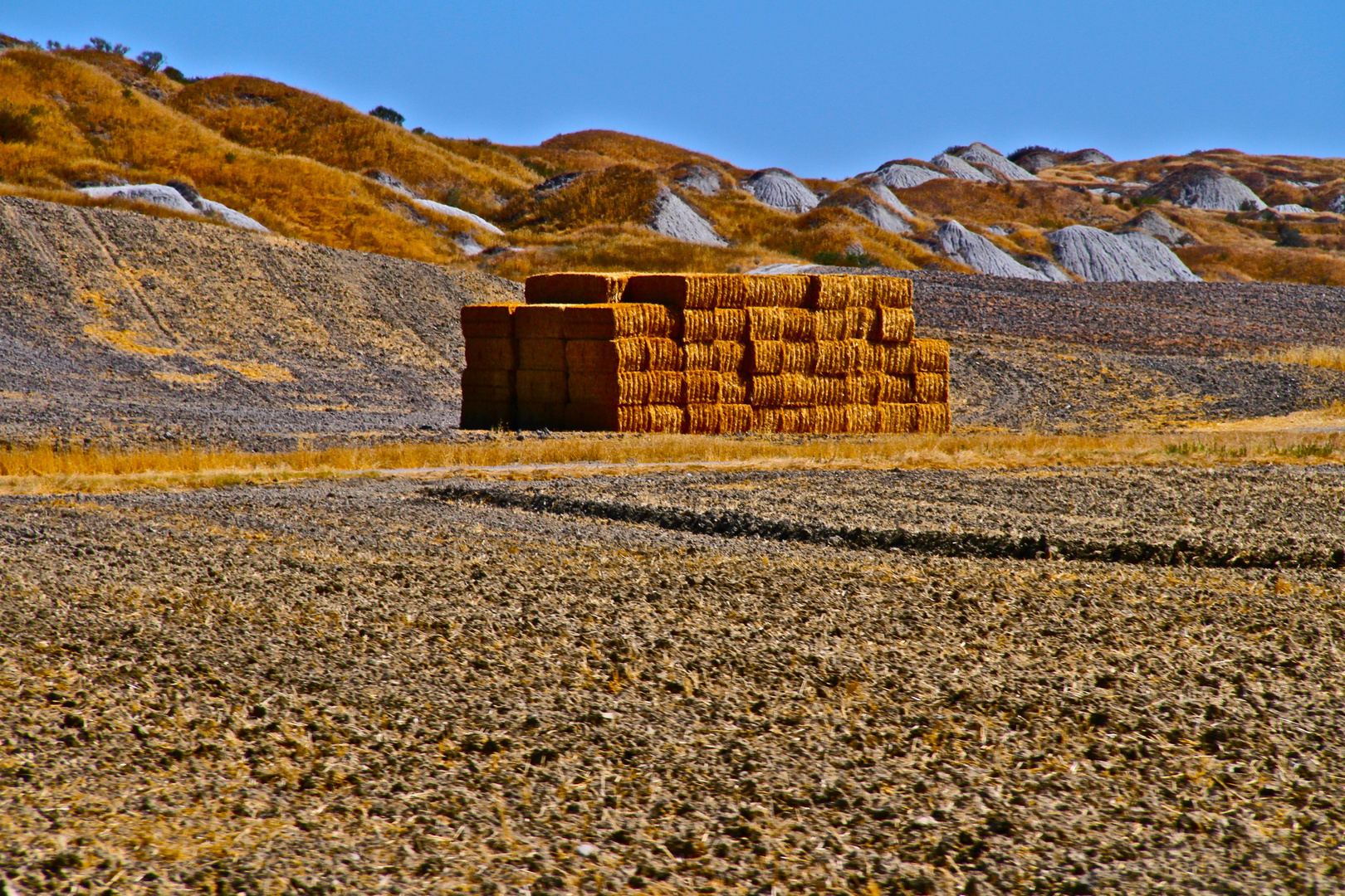 Crete senesi.