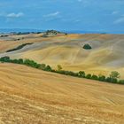 Crete Senesi: Deserto di Accona