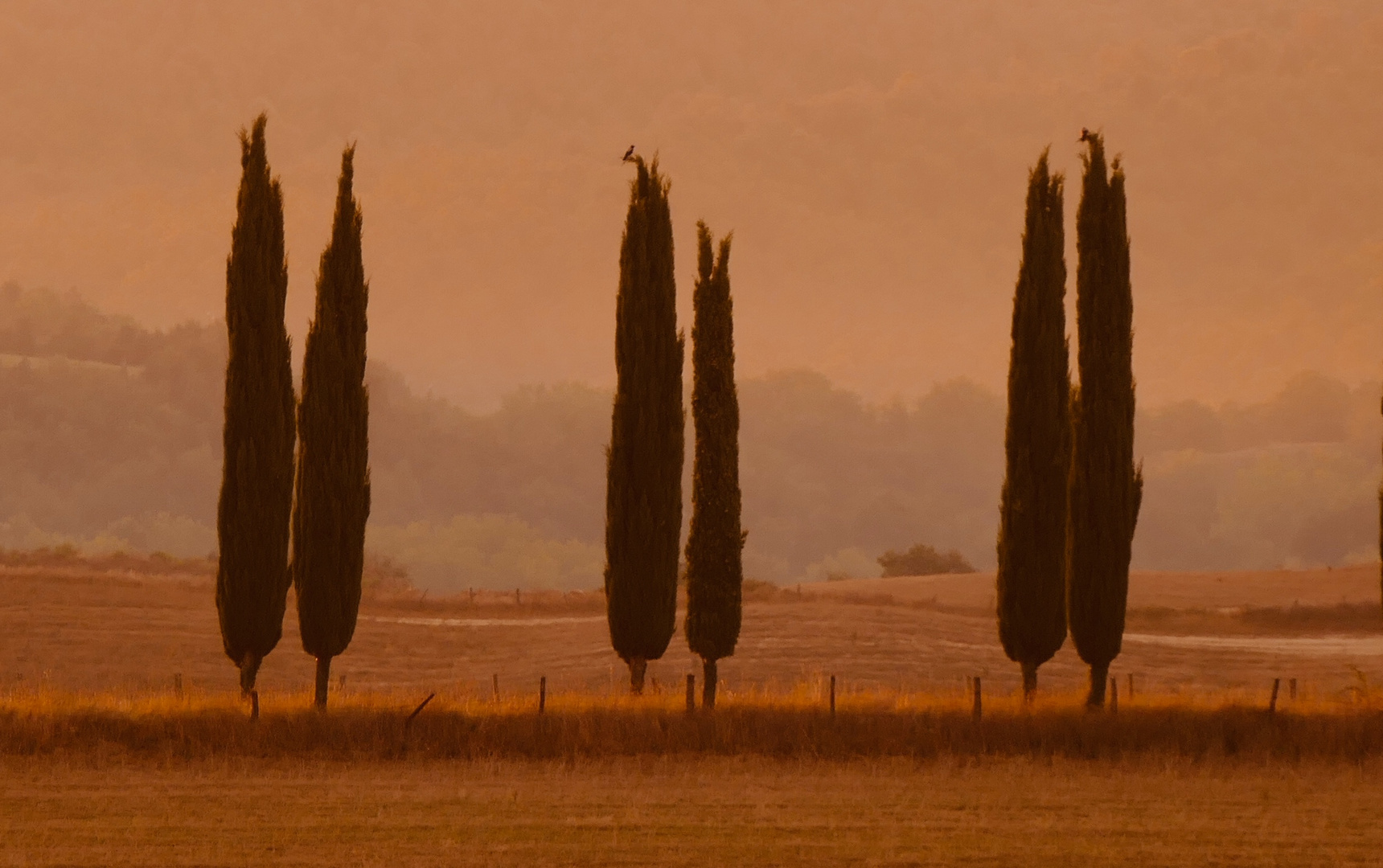 Crete Senesi