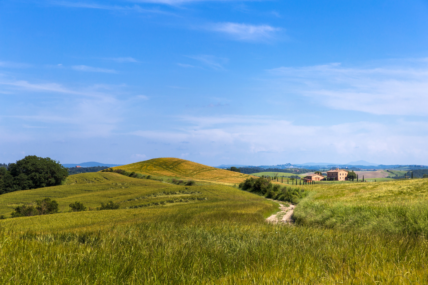 Crete Senesi