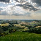 Crete senesi