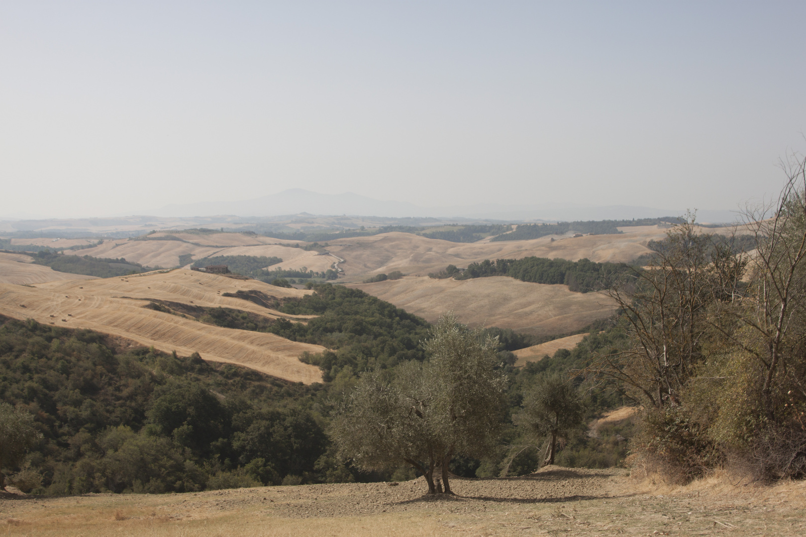 Crete Senesi