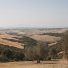 Crete Senesi