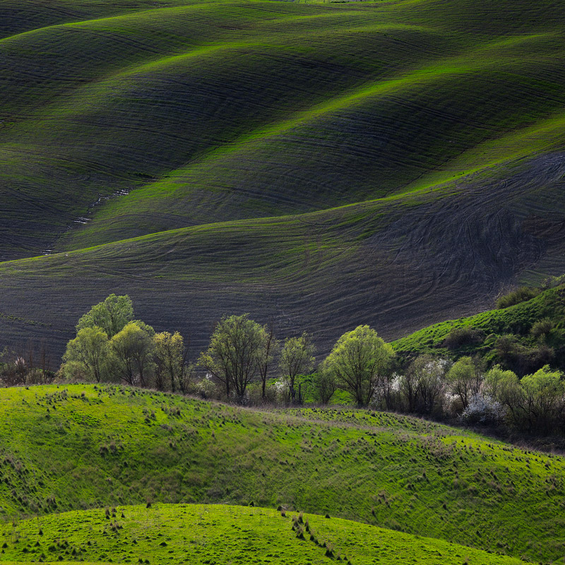 Crete Senesi