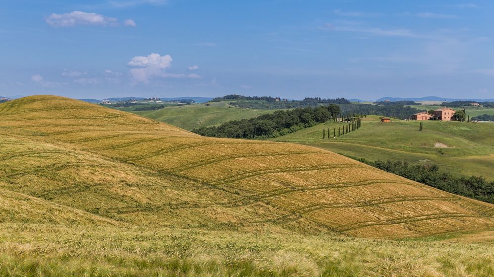 Crete Senesi...