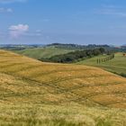 Crete Senesi...