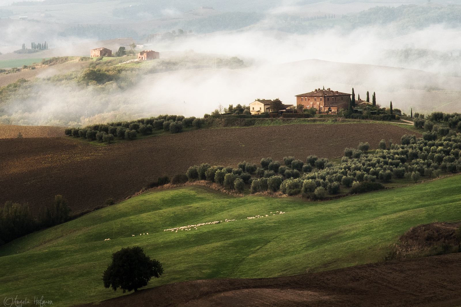 Crete Senesi .. eine Landschaft wie gemalt