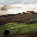 Crete Senesi .. eine Landschaft wie gemalt