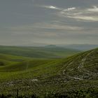 CRETE SENESI