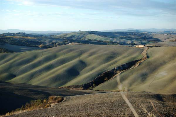 crete senesi