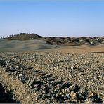 Crete Senesi II