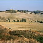 Crete Senesi III