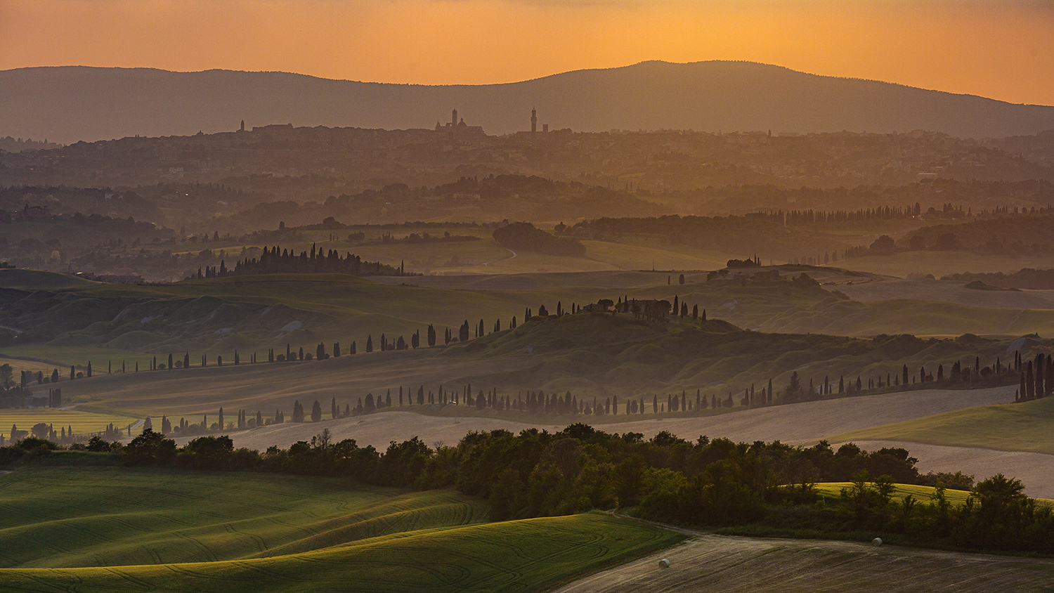 Crete Senesi im Abendlicht