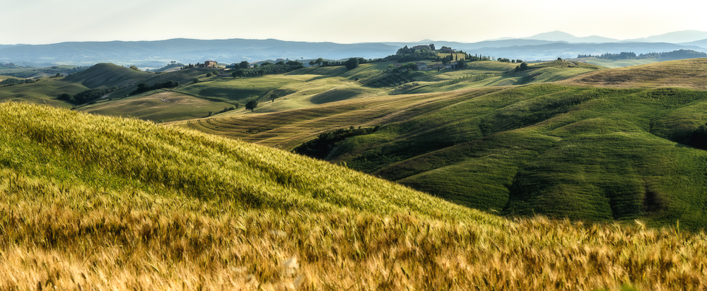 Crete senesi im Mai