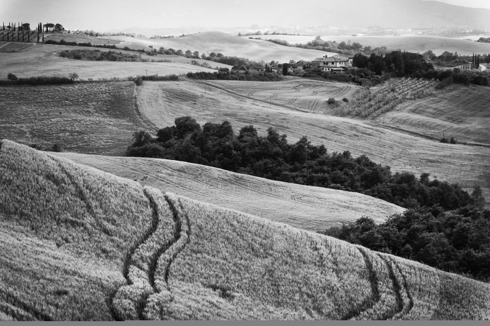 Crete Senesi in s/w