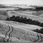 Crete Senesi in s/w