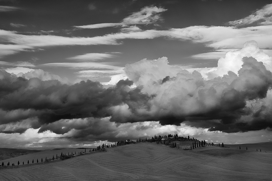 Crete Senesi IX, Toskana, Italien, 2010