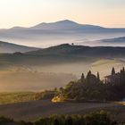 Crete Senesi mit Belvedere